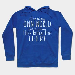 I Live In My Own World Hoodie